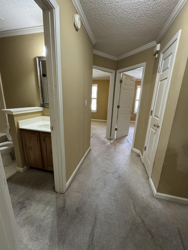 850 N Ericson Rd, Memphis, TN 38018 - hall with a textured ceiling, light carpet, and crown molding