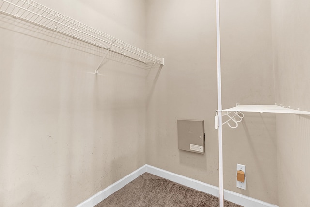 6836 Lagrange Grove Dr, Cordova, TN 38018 - spacious closet featuring carpet floors