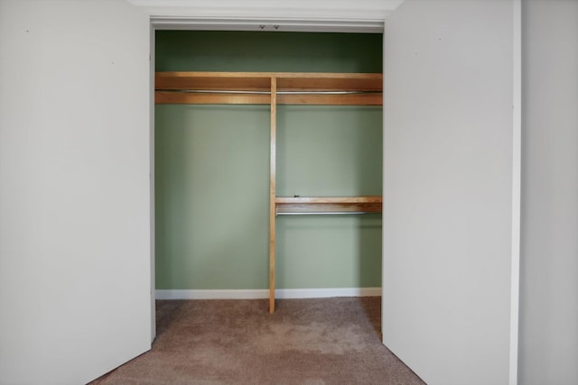 1824 Crossflower Cv Unit 94, Germantown, TN 38138 - view of closet