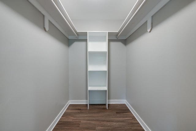4825 Verne Rd, Memphis, TN 38117 - spacious closet with dark wood finished floors