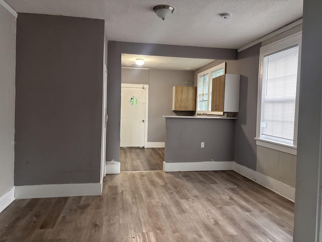 1043 Pearce St, Memphis, TN 38107 - unfurnished room with healthy amount of natural light, a smoke detector, wood finished floors, and a textured ceiling
