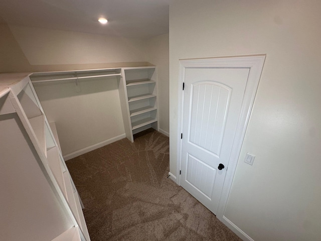 4689 Riva Ridge Dr, Olive Branch, MS 38654 - spacious closet with carpet