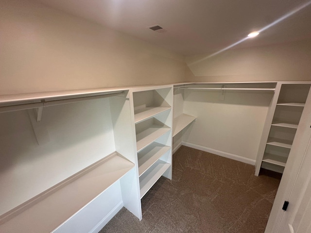 4689 Riva Ridge Dr, Olive Branch, MS 38654 - spacious closet featuring carpet flooring