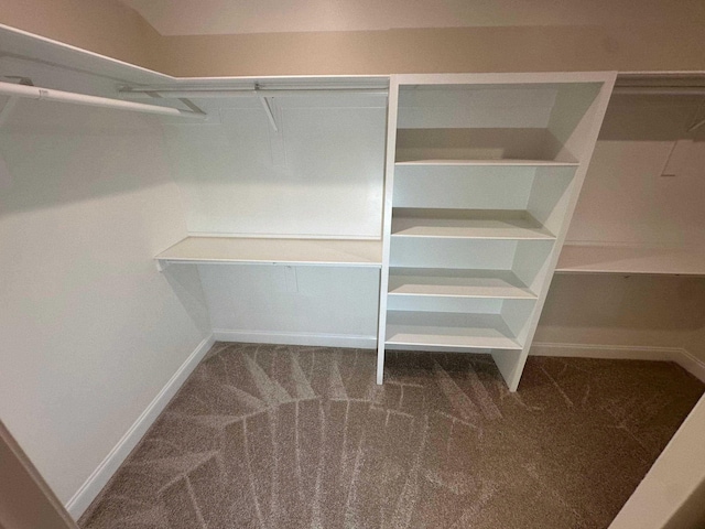 4689 Riva Ridge Dr, Olive Branch, MS 38654 - spacious closet featuring carpet