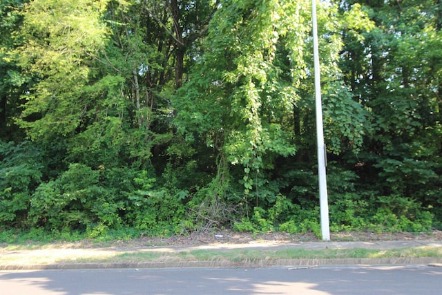 Ridgemont Rd, Memphis, TN 38128