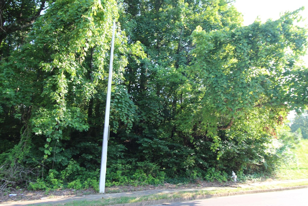 Ridgemont Rd, Memphis, TN 38128