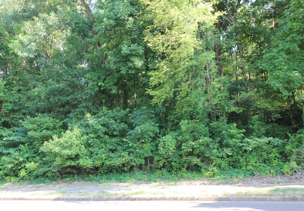 Ridgemont Rd, Memphis, TN 38128