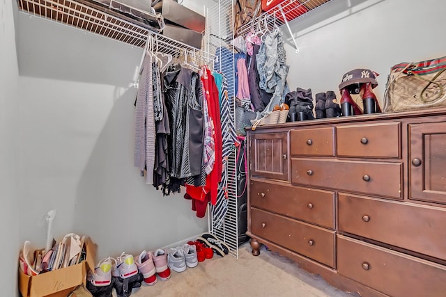 10215 N Green Moss Dr, Cordova, TN 38018 - walk in closet with carpet floors