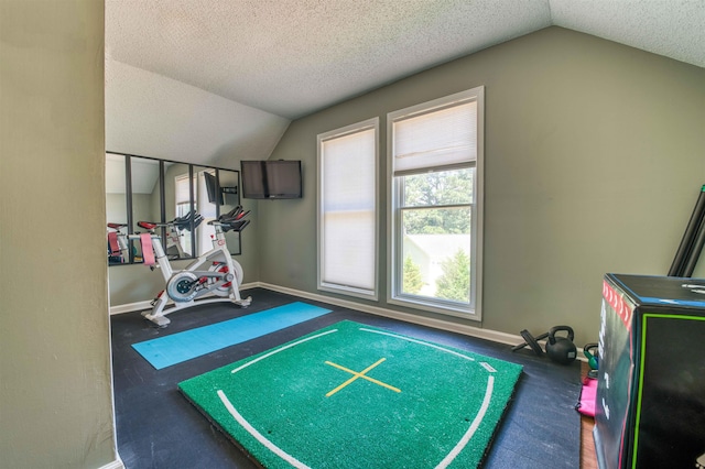 8986 Stratfield Cv, Germantown, TN 38139 - exercise area with vaulted ceiling and a textured ceiling
