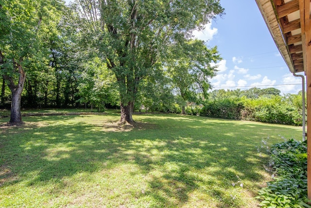 117 N High St, Waynesboro, TN 38485 - view of grassy yard