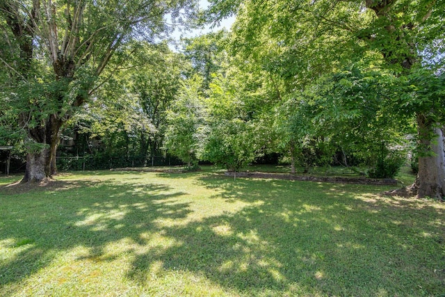 117 N High St, Waynesboro, TN 38485 - view of green lawn featuring a forest view
