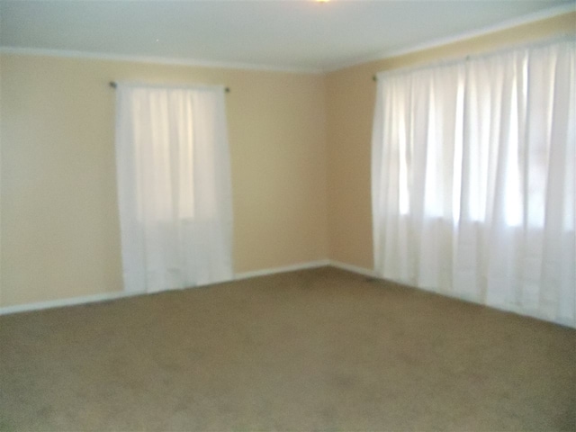 273 Main St, Ripley, TN 38063 - unfurnished room with carpet and plenty of natural light