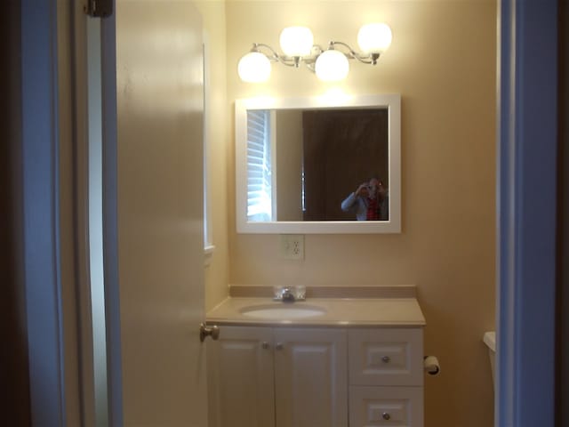 273 Main St, Ripley, TN 38063 - bathroom featuring vanity and toilet