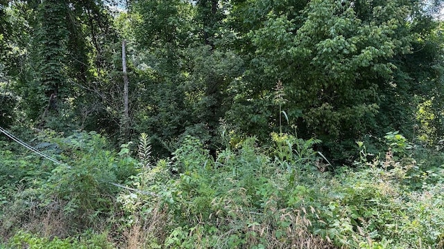 5137 Tully Rd, Memphis, TN 38109