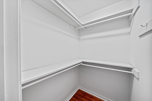 366 Casca Cv, Collierville, TN 38017 - walk in closet featuring dark wood finished floors