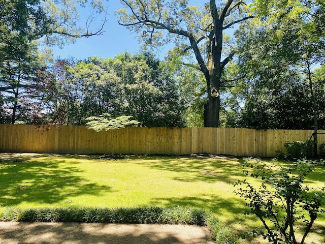 5587 S Ashley Sq S, Memphis, TN 38120 - view of yard