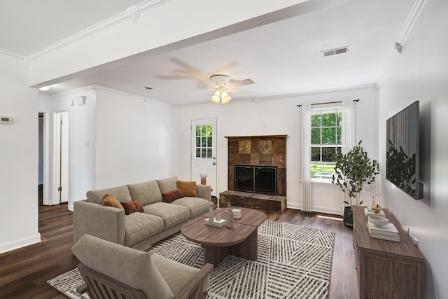 1149 Abbeville St, Collierville, TN 38017 - living room with crown molding, plenty of natural light, dark wood-type flooring, and a tile fireplace