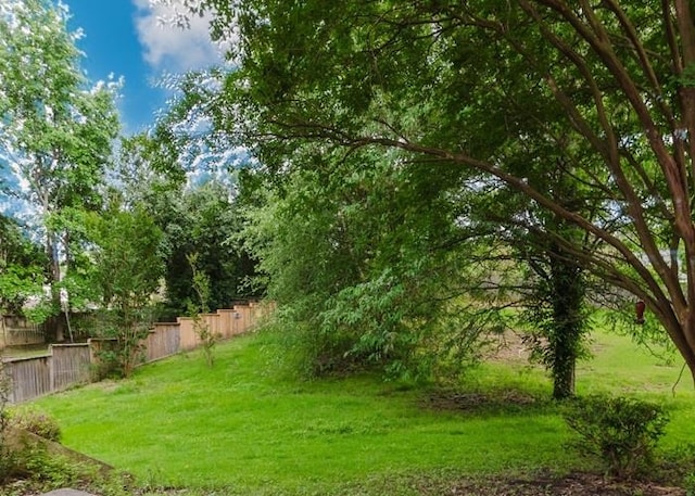 9219 Beaver Valley Ln, Cordova, TN 38018 - view of yard
