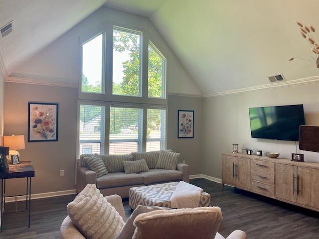 2470 S Flowering Tree Cv, Bartlett, TN 38134 - living room with high vaulted ceiling and dark wood-style flooring