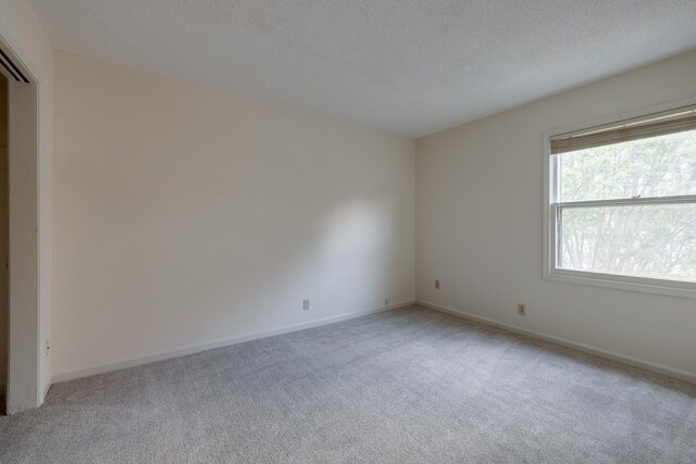 1204 Chamberlain Dr Unit 10, Memphis, TN 38119 - unfurnished room with light colored carpet and a textured ceiling