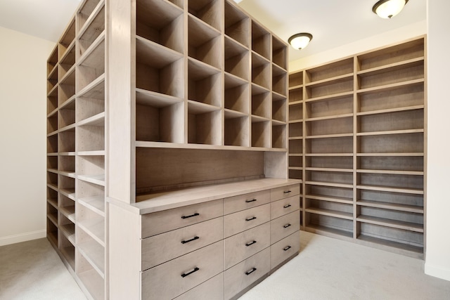 3217 Pointe Hill Cv, Memphis, TN 38125 - view of walk in closet