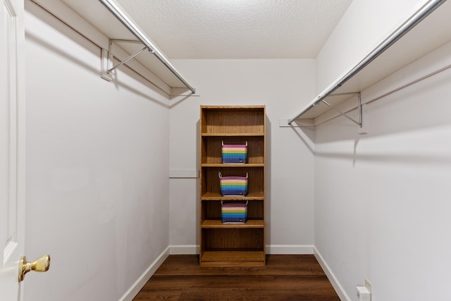 1504 Teal Wing Ln, Memphis, TN 38016 - spacious closet featuring dark wood finished floors