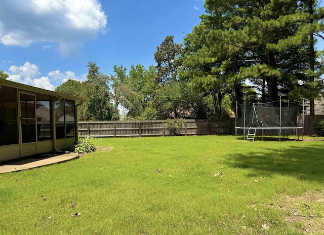 902 Wildbird Cv, Collierville, TN 38017 - fenced backyard with a trampoline and a sunroom