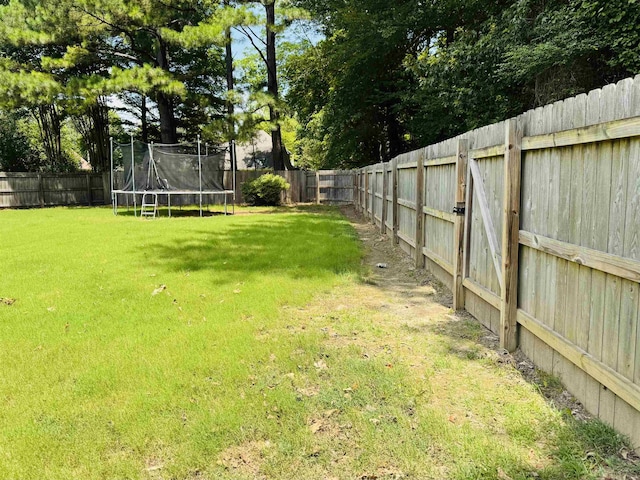 902 Wildbird Cv, Collierville, TN 38017 - fenced backyard with a trampoline