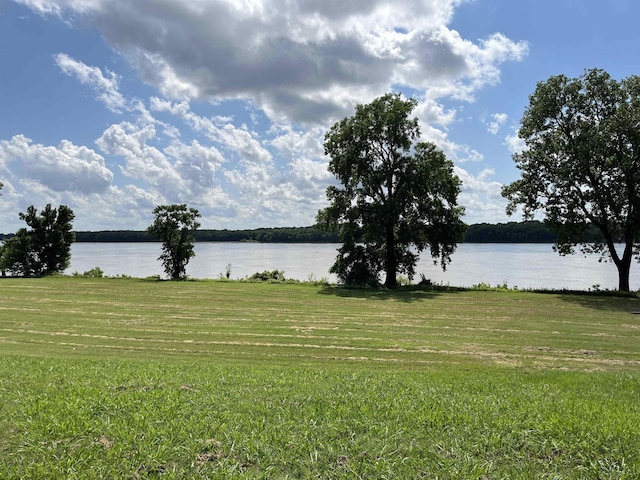 1319 E Island Pl E, Memphis, TN 38103 - water view