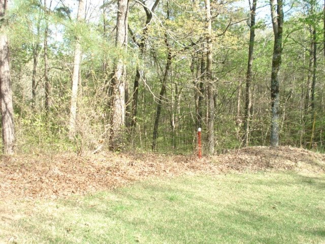 Listing photo 2 for 505A Briar Creek Rd, Counce TN 38326