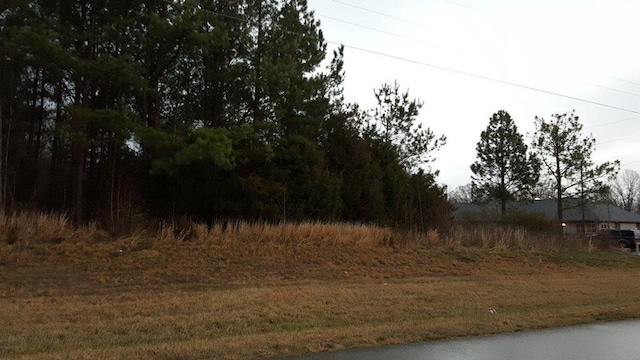 LOT8 Parker Drive, Booneville, MS 38829 - photo 21