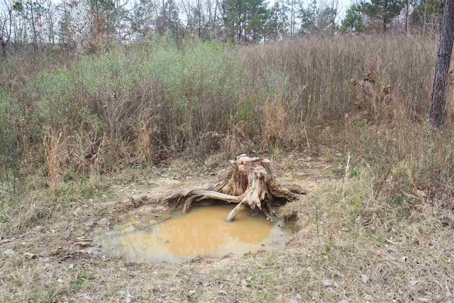0 Tallaha Road, Charleston, MS 38921
