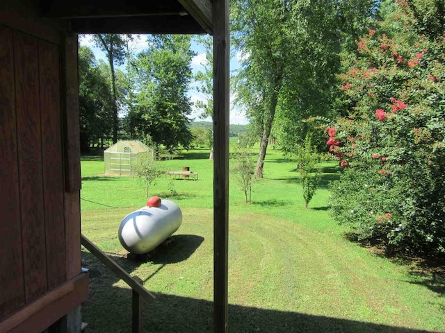 view of yard featuring a storage unit