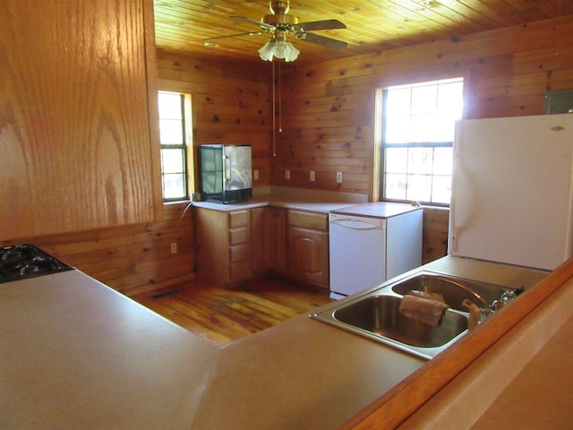 kitchen with wooden walls, ceiling fan, fridge, light hardwood / wood-style flooring, and wooden ceiling