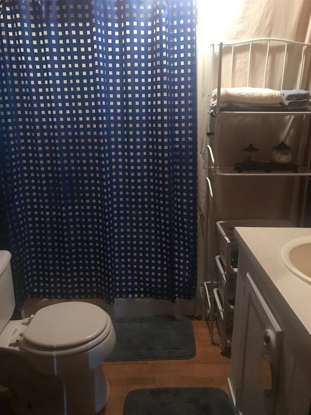 bathroom with toilet, hardwood / wood-style floors, and vanity