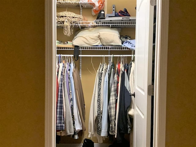 view of closet