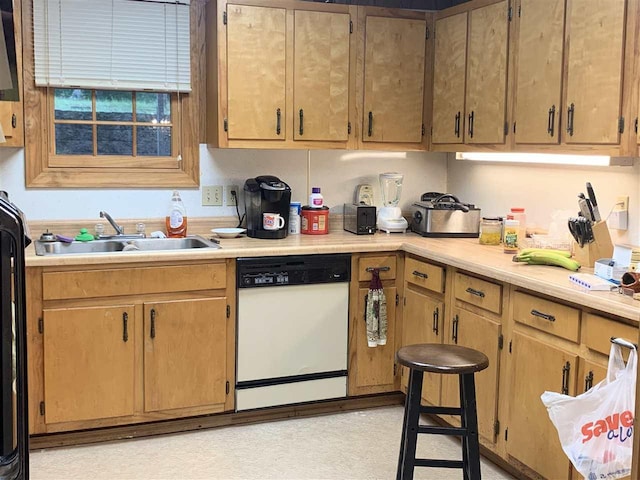 kitchen featuring sink and white dishwasher