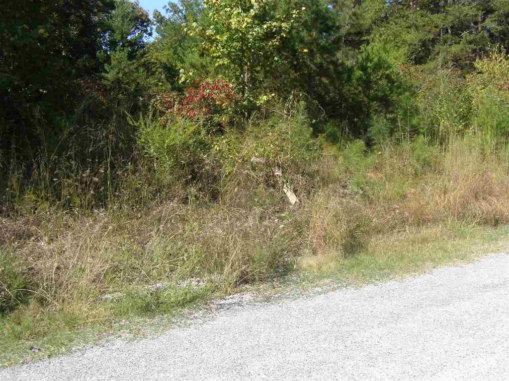 LOT16 Riviera Drive, Pickwick Lake, AL 35616 - photo 1