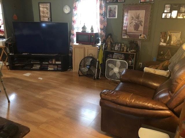 living room with light wood-type flooring