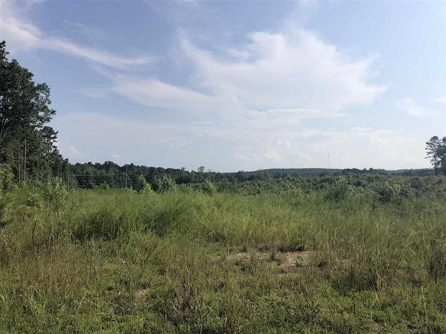 13 Cr 321 Road, Iuka MS, 38852 land for sale