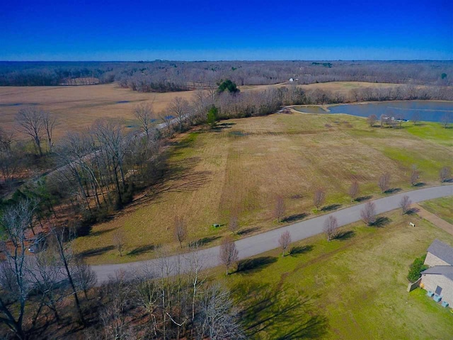 Listing photo 3 for 35 Lake Pointe Cv, Rossville TN 38066