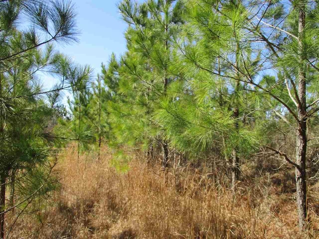 00 Highway 142, Selmer TN, 38375 land for sale