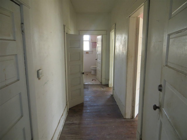 corridor featuring dark wood-type flooring