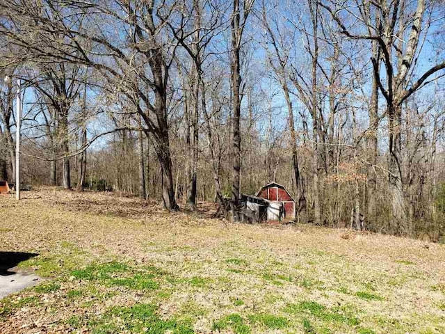 view of yard featuring an outdoor structure