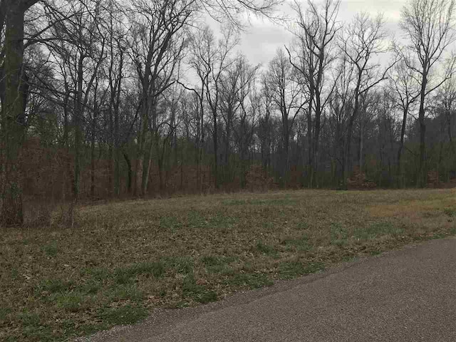 0 Perry Lane, Millington, TN 38053 - photo 2