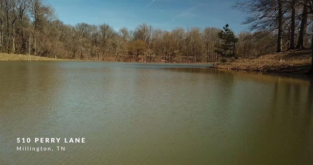 0 Perry Lane, Millington, TN 38053 - photo 4