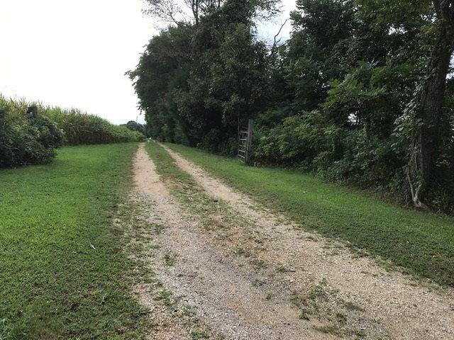2180 Whiteville Newcastle Road, Whiteville, TN 38075 - photo 17