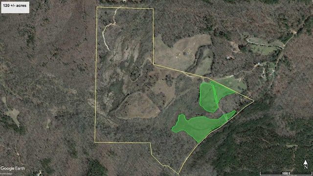 400 Porter Road, Saulsbury, TN 38052 - photo 1