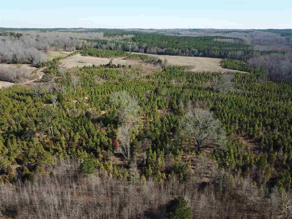 400 Porter Road, Saulsbury, TN 38052 - photo 2