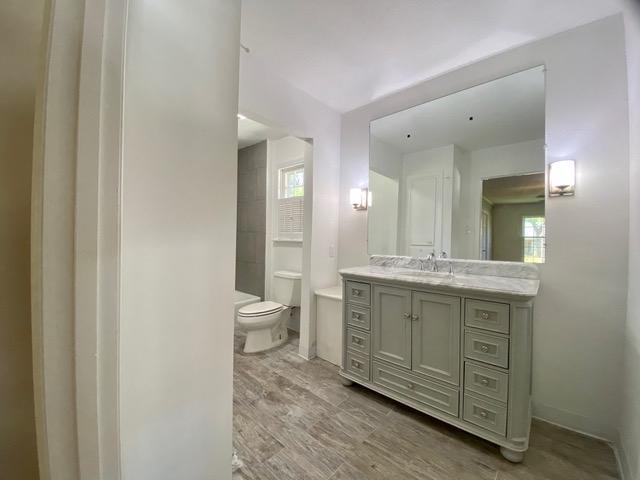 bathroom with vanity, a healthy amount of sunlight, wood-type flooring, and toilet